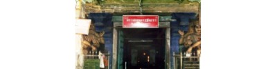 100. திருத்துருத்தி